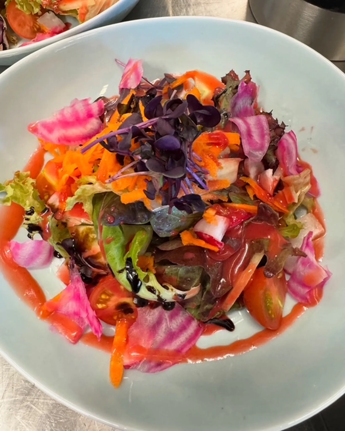 Bistro Maximilian -  Gastronomie - lebendiger Salat mit gemischtem Grünzeug